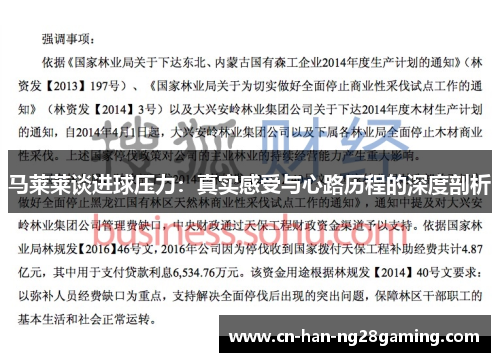 马莱莱谈进球压力：真实感受与心路历程的深度剖析