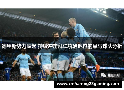 德甲新势力崛起 持续冲击拜仁统治地位的黑马球队分析