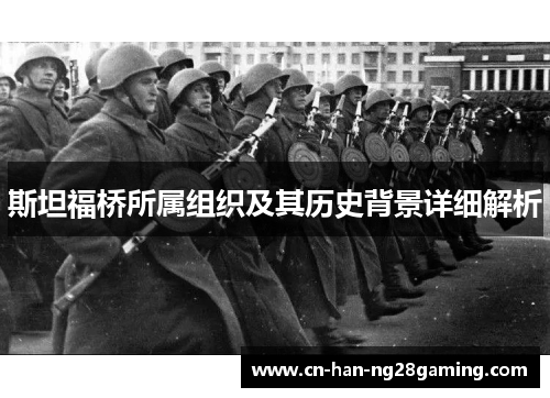 斯坦福桥所属组织及其历史背景详细解析