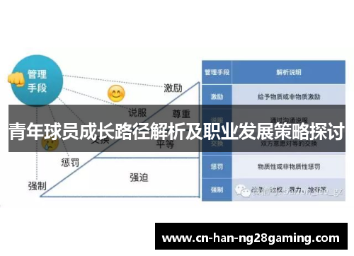 青年球员成长路径解析及职业发展策略探讨