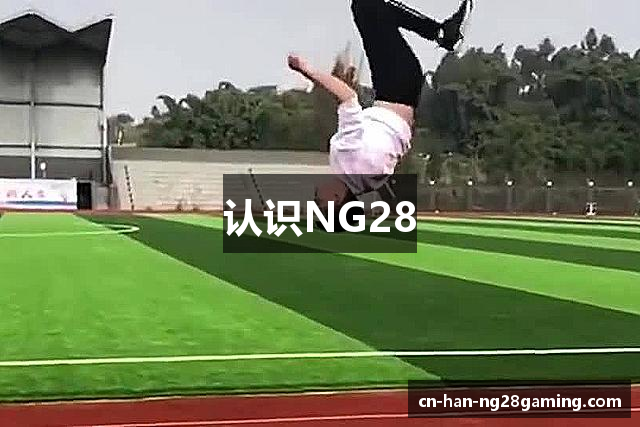 认识NG28